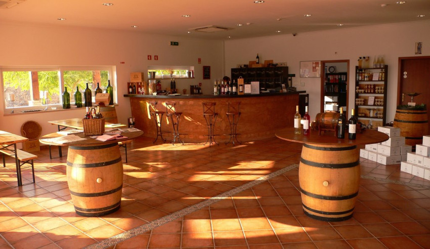 Wine Tasting: Visit to the Cellar with Wine Tasting and Tapas