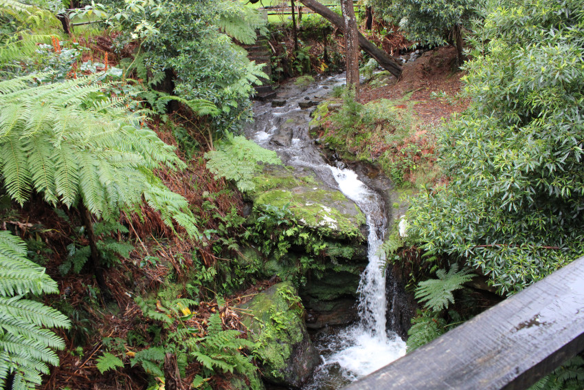 Tour de Jipe: Dia Inteiro