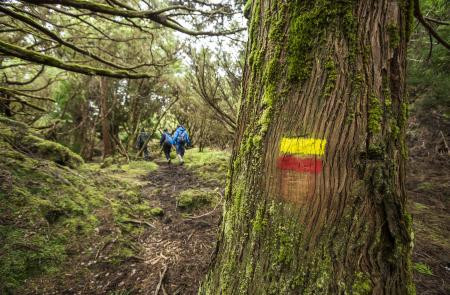 Hiking Tour: Mistérios Negros