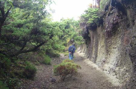 Trilho Pedestre: Serreta 