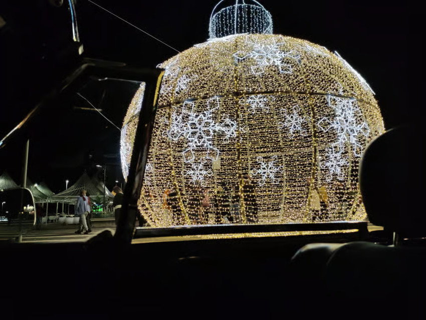 Sightseeing Tours: Christmas Lights Night Tour