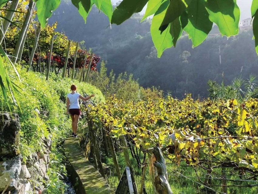Experience Pack: Madeira Heritage - A Tapestry of Traditions & Flavors