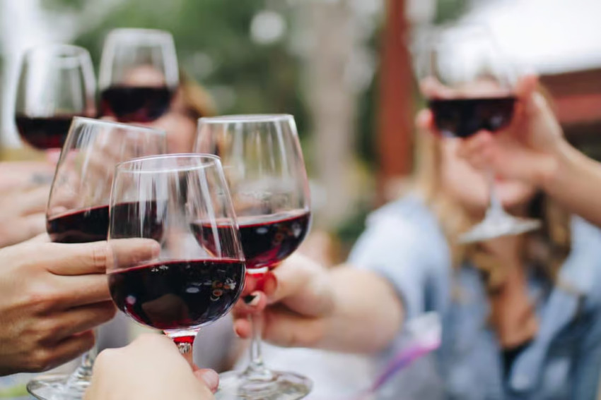 Food & Wine: From Lagos: Small-Group 4-Hour Wine Tasting Tour