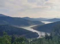 Hiking: Iberian Lynx Hike - 7km - Intermediate - Transfers Included