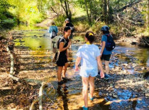 Hiking: Thermal Spring Hike - 3km - Easy - Transfers Included