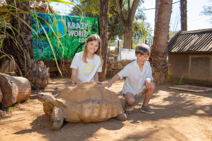 Tickets:  Krazy World Interactive Park Entry Ticket