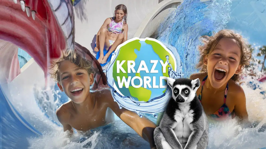 Tickets:  Krazy World Interactive Park Entry Ticket