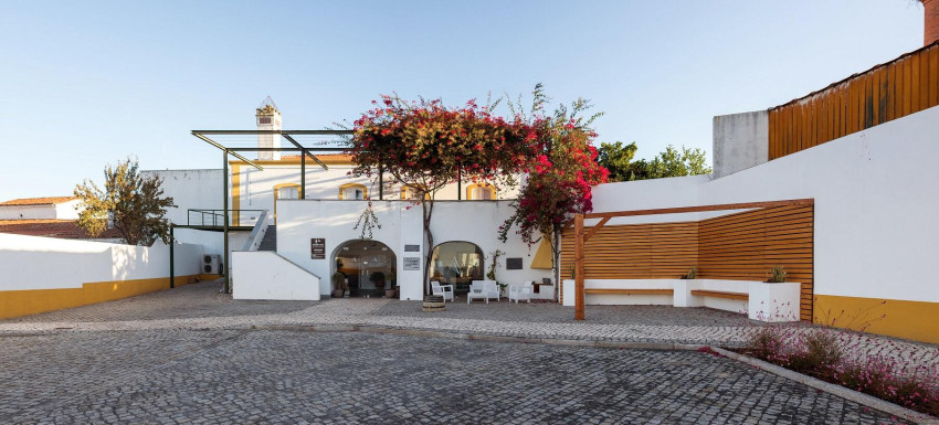 Wine Tasting: The Cellar