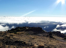 Private: Full Day Madeira Sunrise Tour