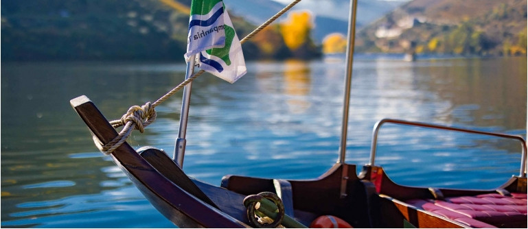 Boat: Amazing cruise between Pinhão and Romaneira on a traditional