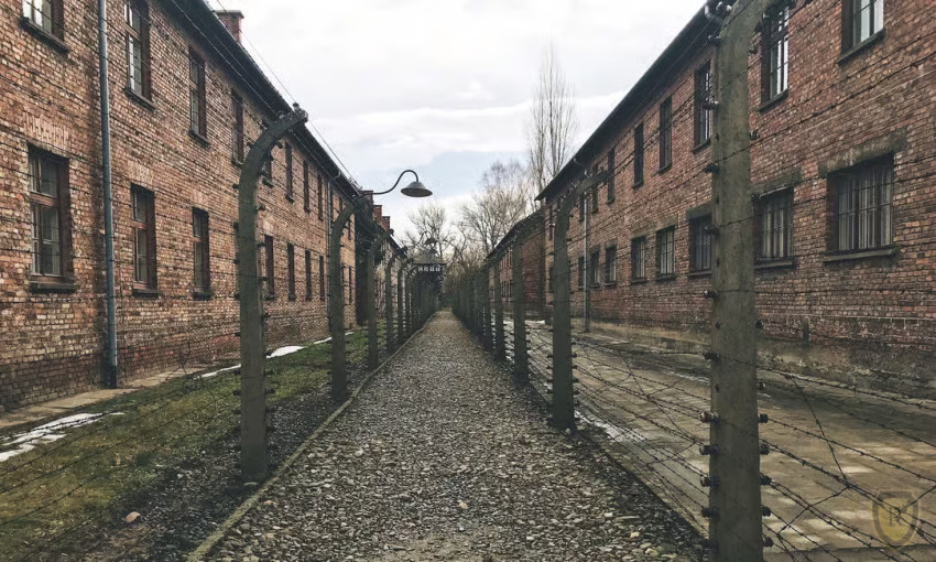 Cultural Tours: From Krakow: Auschwitz-Birkenau Guided Tour & Hotel Pickup