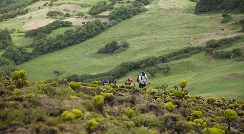 Private: 10 Volcanoes Hiking Trail