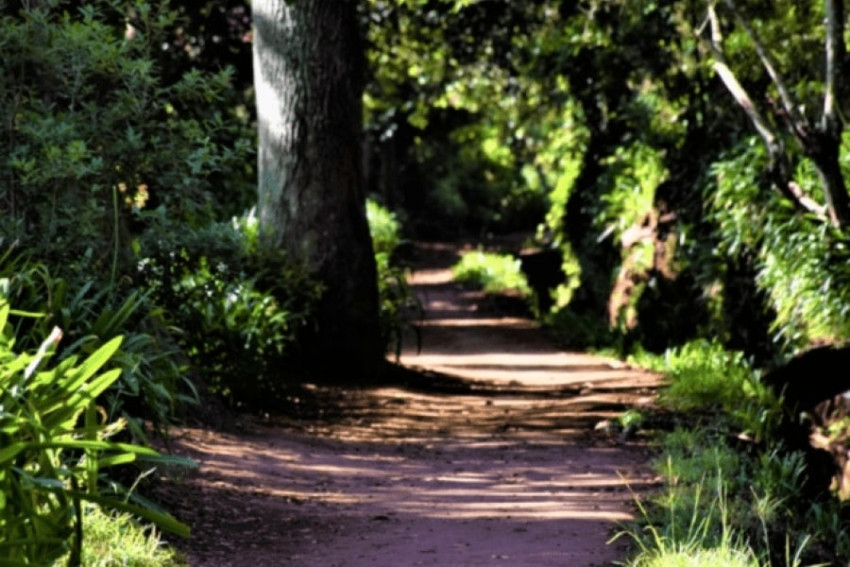 Hiking Tour: Vale do Paraíso / Rochão (Half Day)