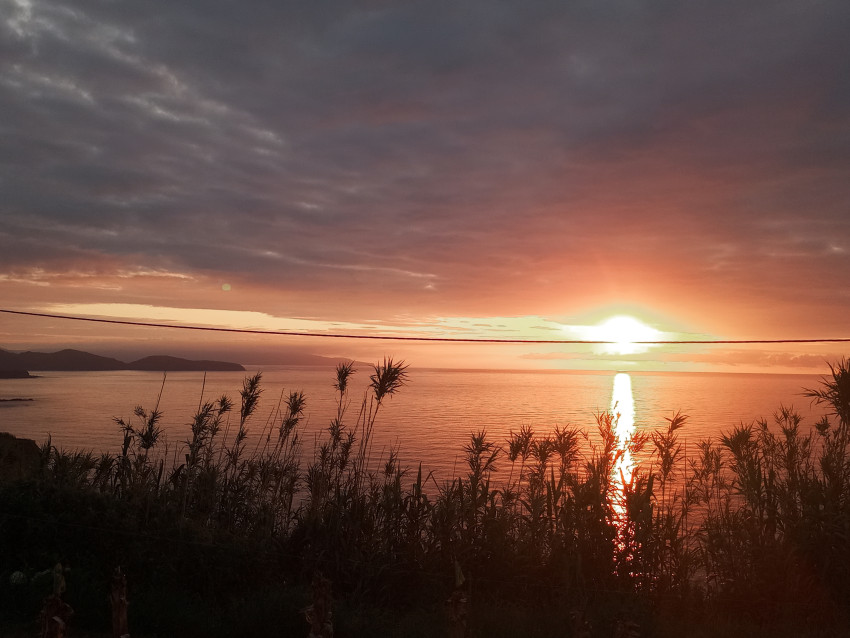 Food & Wine: Picnic Sea View