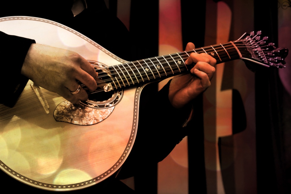 Small Group Tour: Oporto Fado Show with Dinner