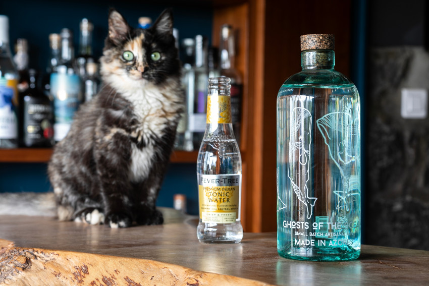 Food & Wine: Complimentary Azorean Gin Masterclass