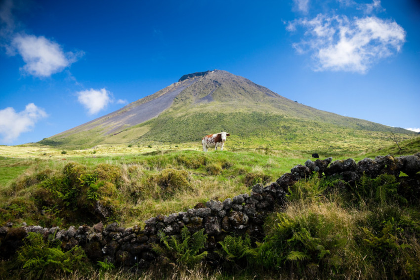 Hiking Experience Pack: The Azores Triangle