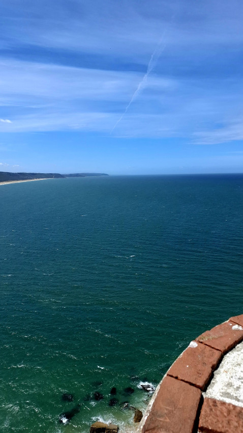 Private: From Lisbon to Porto (Lunch Included)