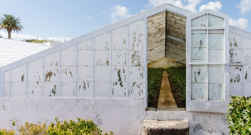 Passeio Cultural: Visita Guiada à Herdade