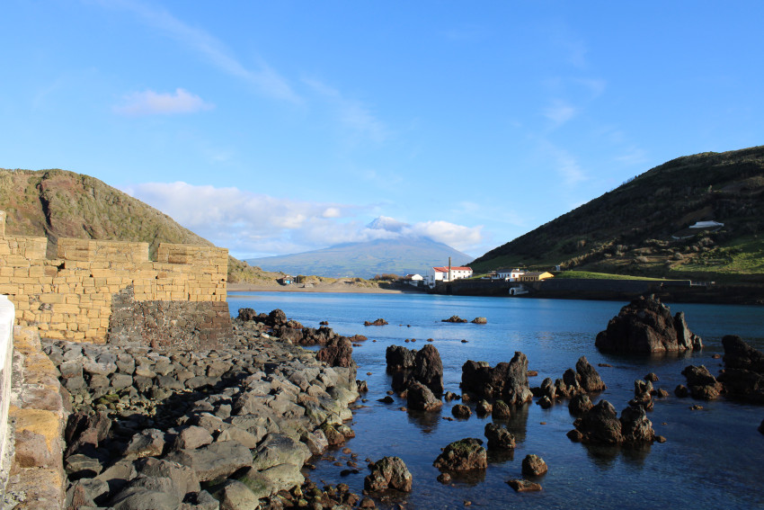 Passeio de Carrinha: Dia Inteiro no Faial 