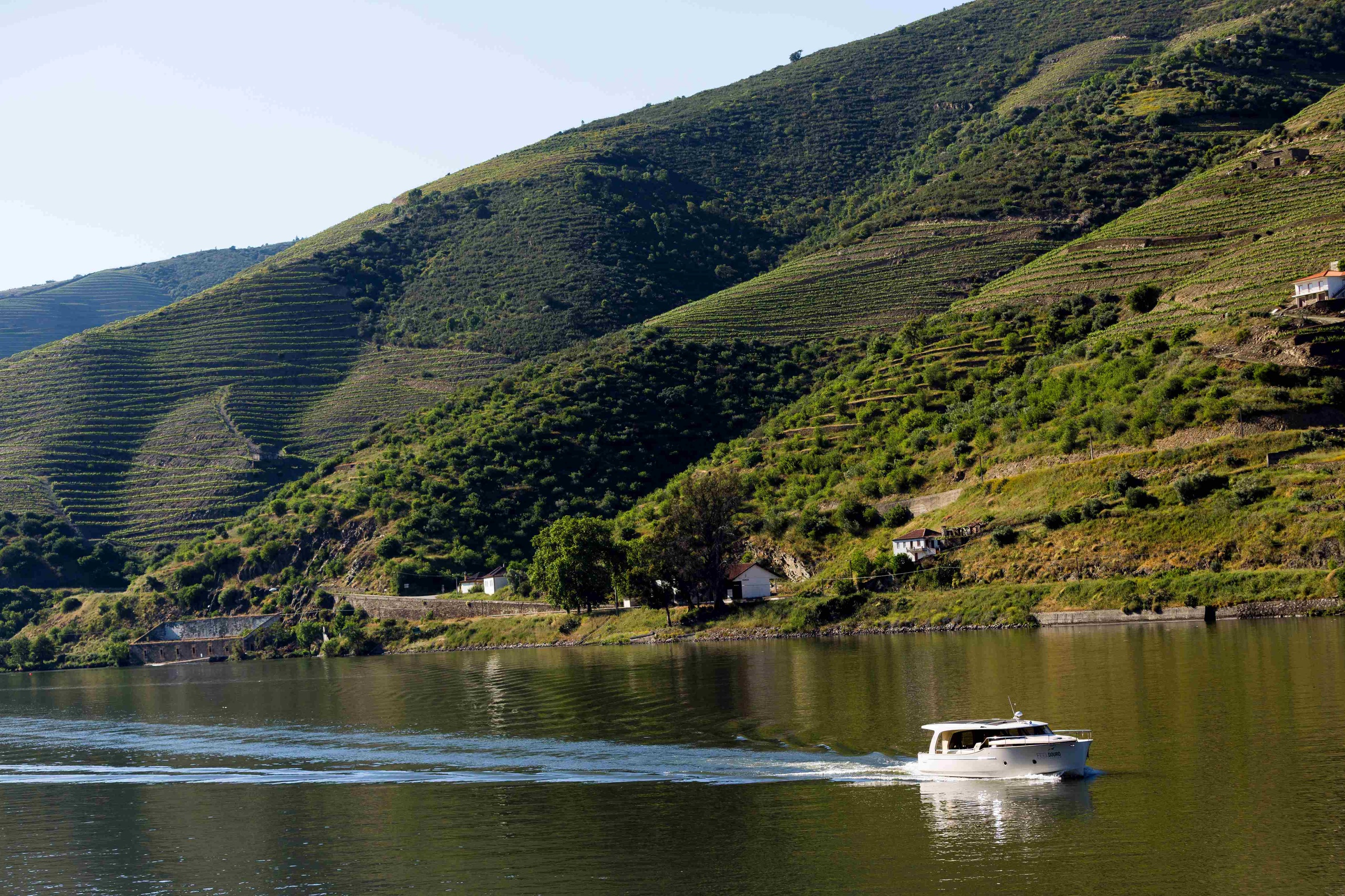 Private: Douro Wine Region - 3h Exclusive Luxury Boat Tour