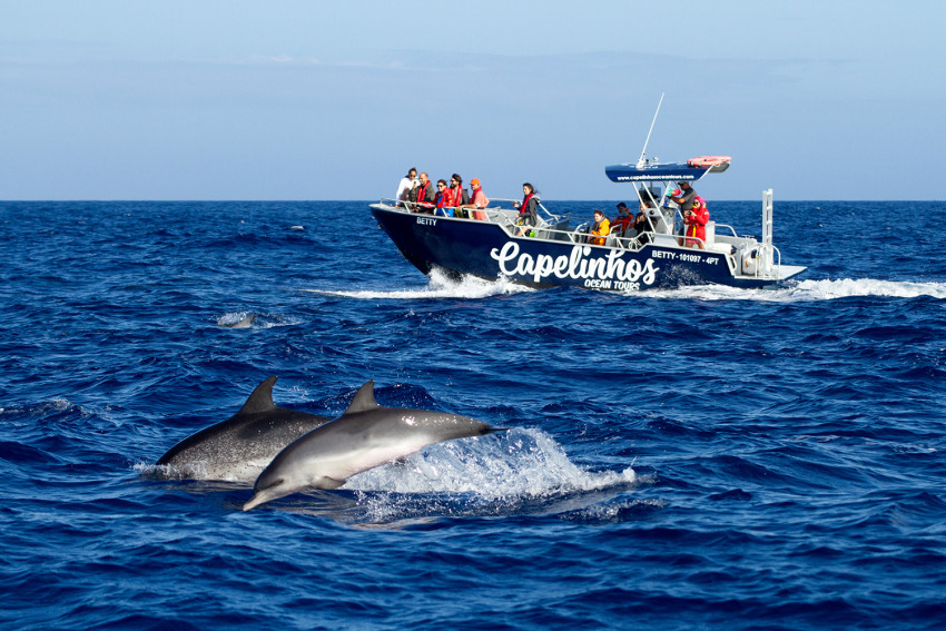 Passeio de Barco: Vulcão dos Capelinhos