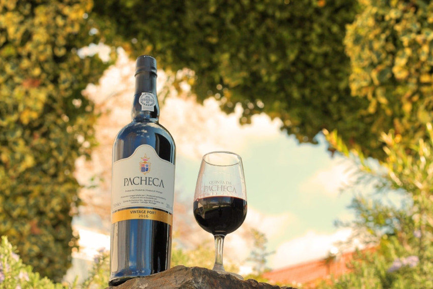 Wine Tasting: Introduction to Tasting Course