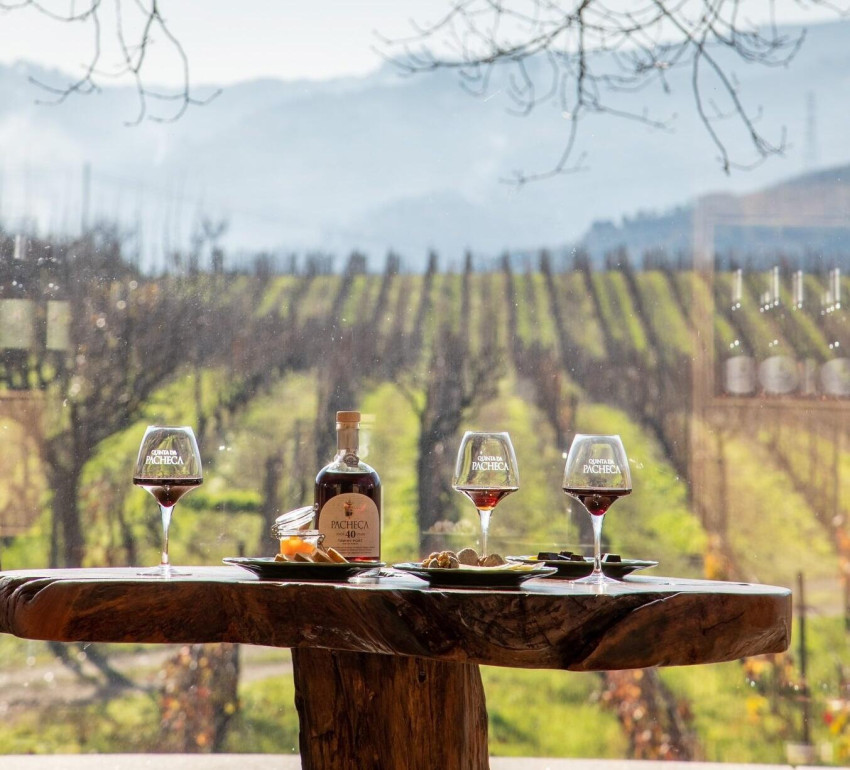 Wine Tasting: Guided Tour & Wine Tastings
