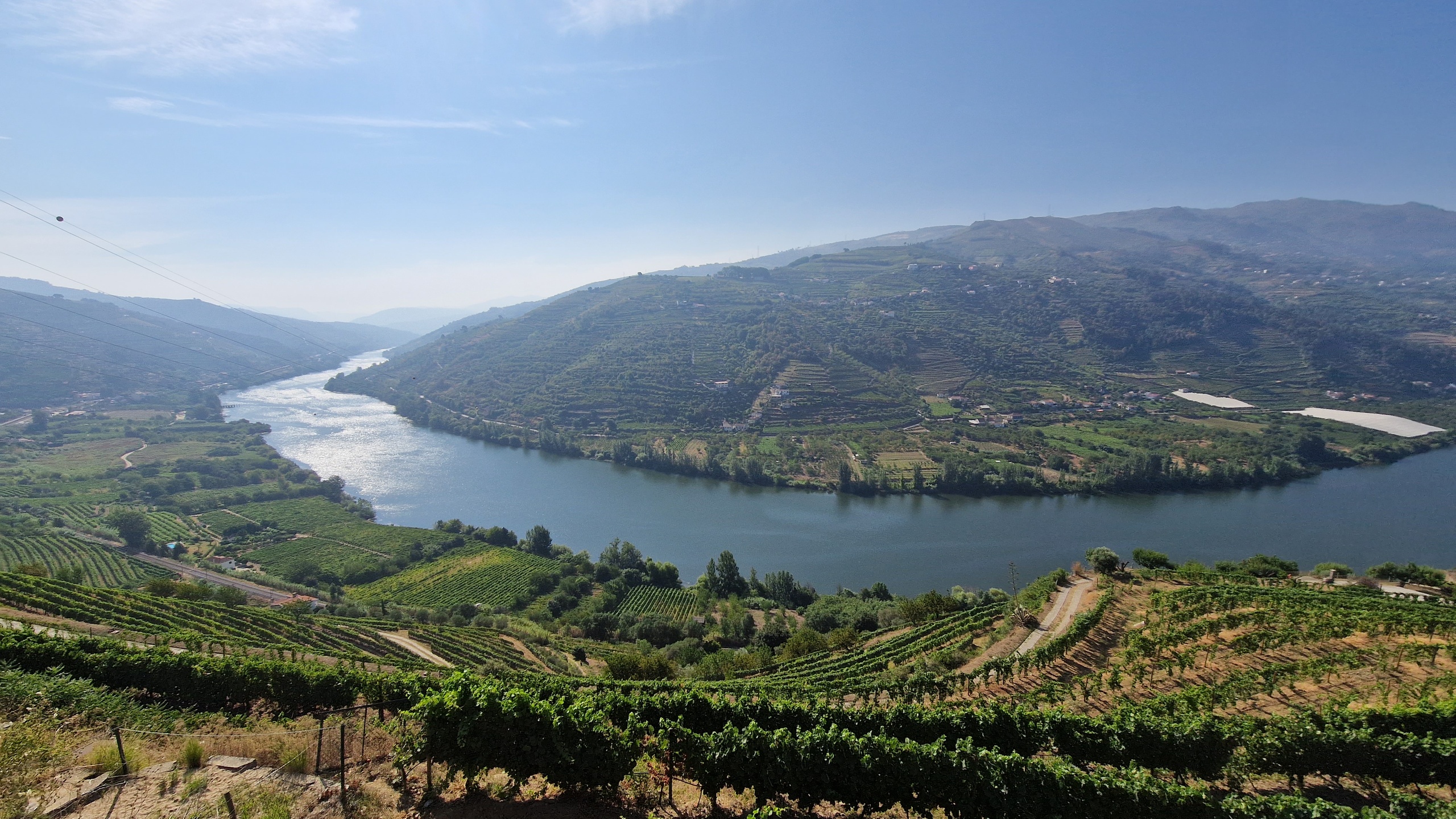 Van Tour: Douro Valley with Visit to Two Wineries and Wine Tasting and Boat Trip Full Day