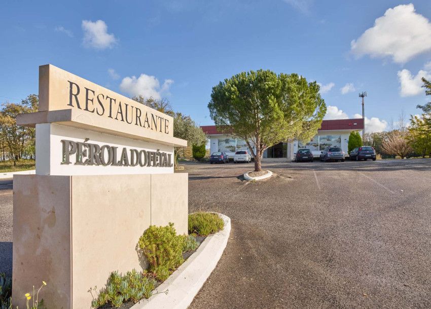 Tasting Menu: Dinner