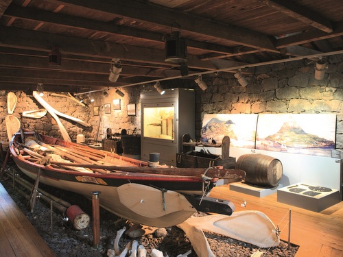 Passeios de Carrinha: Volta à Ilha ao Pico - dia inteiro (saida Horta)