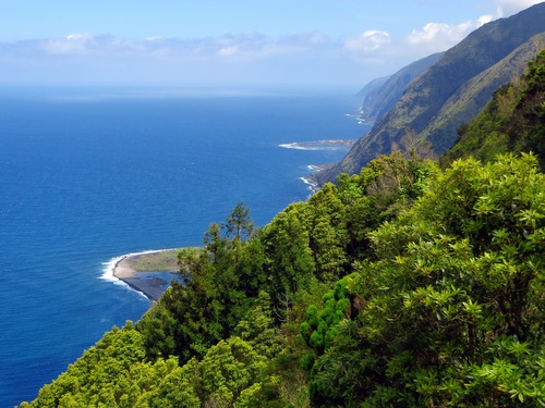 Van Tours: São Jorge Excursion - Full Day (Departure from Horta)