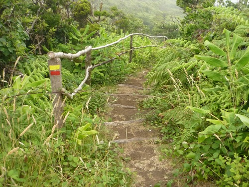 Passeios Pedestres: Capelo/Capelinhos