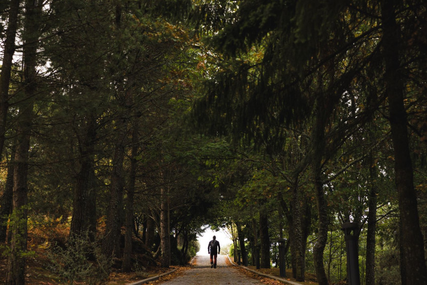 Experience Pack: Douro Demarcated Region - UNESCO World Heritage 