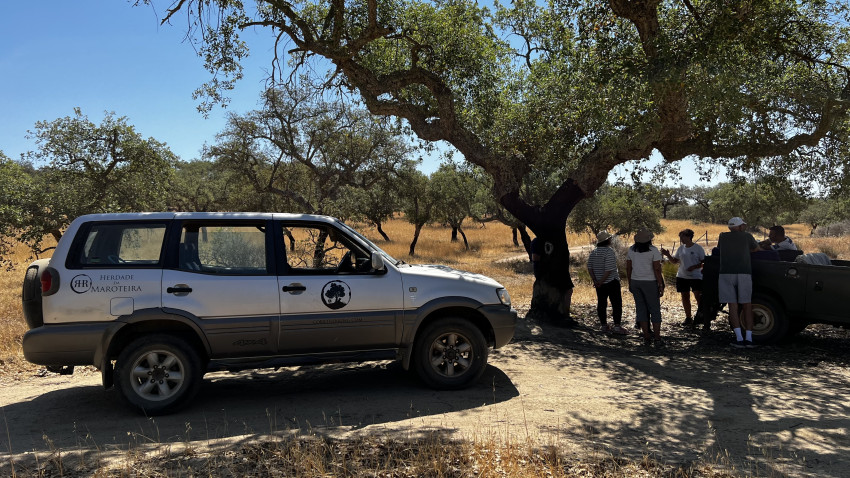 Jeep Tour: Off-Road Alentejo Adventure in The Cork Forest