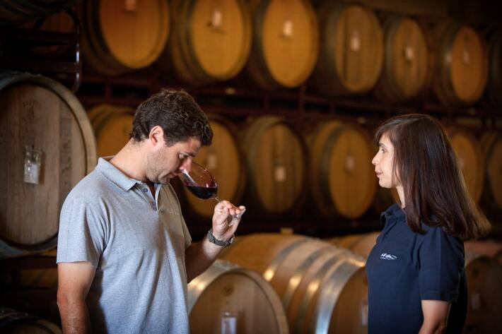 Wine Tasting: The Discovery of Wine Production at Herdade da Maroteira