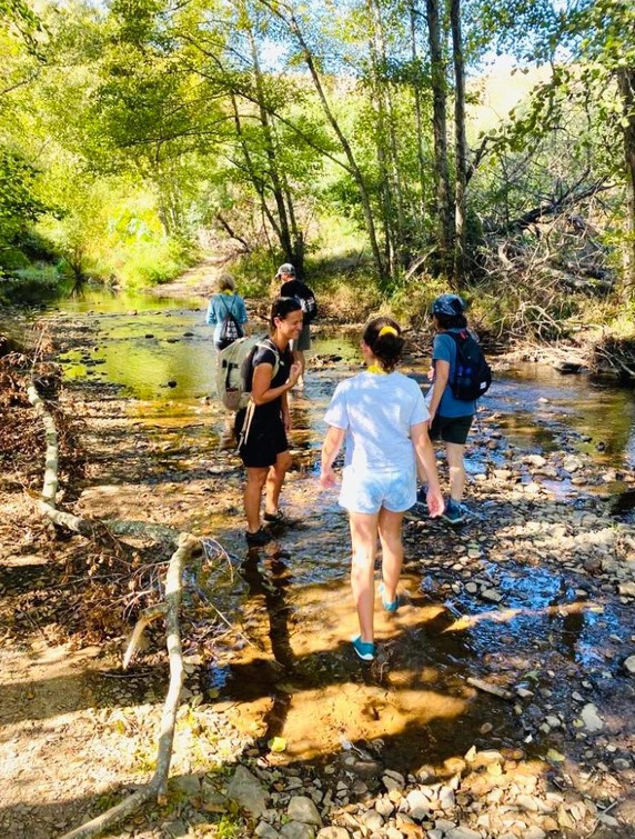 Hiking Tours: Thermal Spring Hike - 3km - Easy