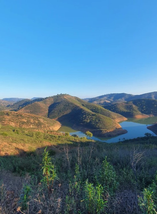 Hiking Tours: Iberian Lynx Hike - 7km - Intermediate