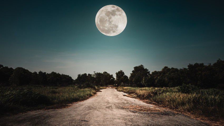 Outdoor: Stargazing Experience with Astronomer