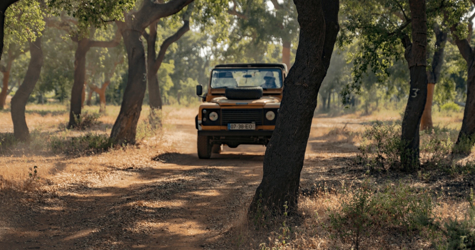 4x4: Private Half Day Safari 
