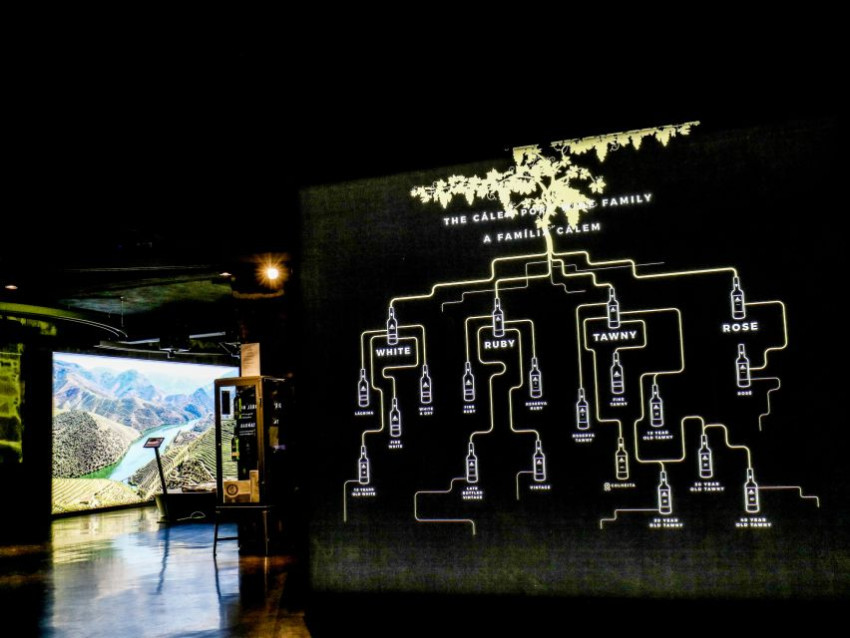 Wine Tasting: Fado in Porto