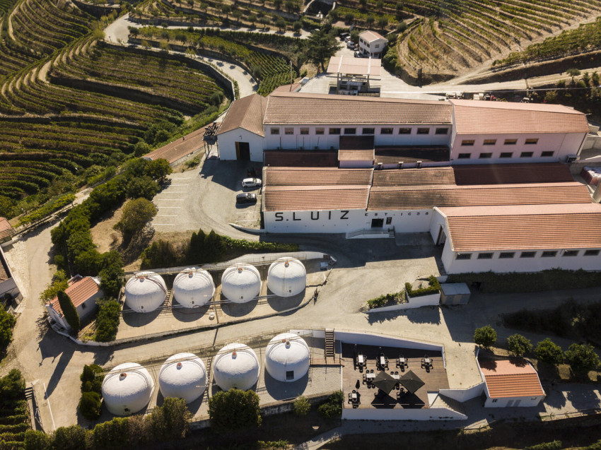 Wine Tasting: Sao Luiz Premium