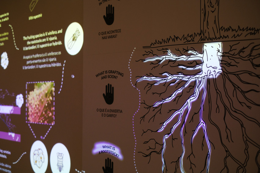 Tickets: World of Wine - The Wine Experience