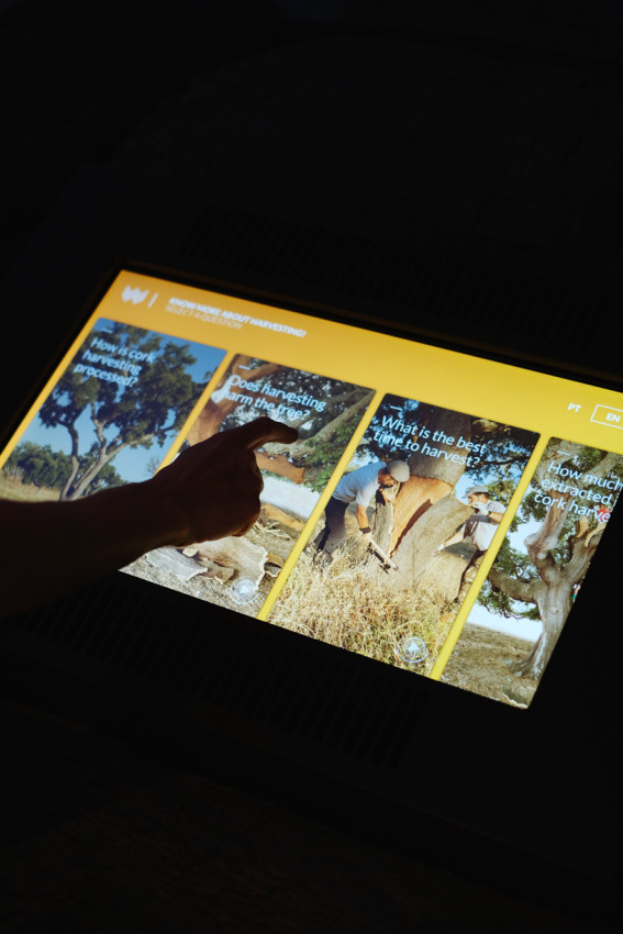 Tickets: World of Wine - Planet Cork