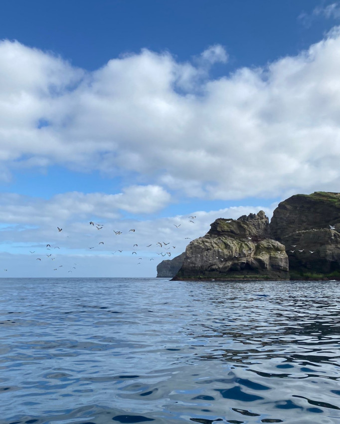 Barco: Porto Formoso
