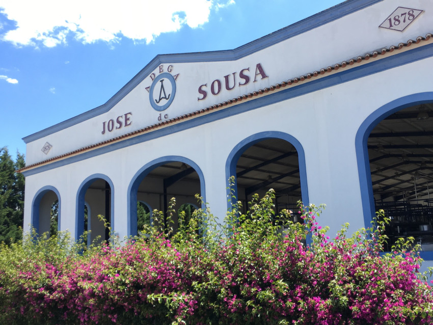 Wine Tasting: 3 Wines and Regional Products