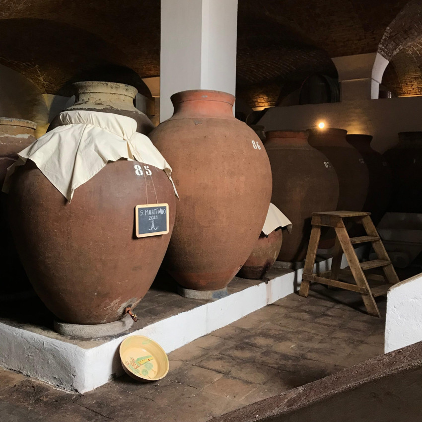 Wine Tasting: Talha Wine Experience