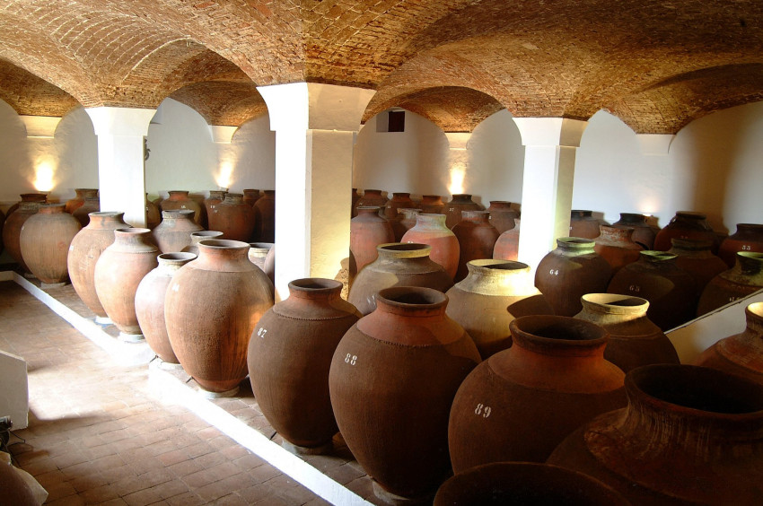 Wine Tasting: Talha Wine Experience