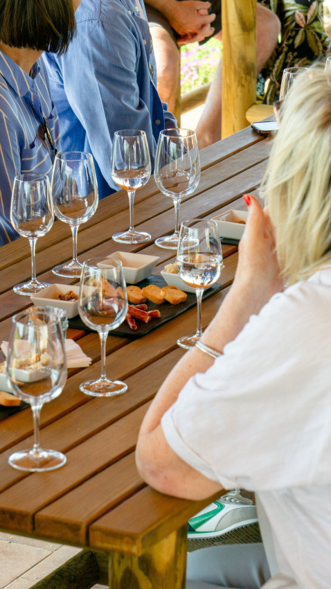 Food & Wine: Small-Group Wine Tour & Silves Exploration (from Albufeira)
