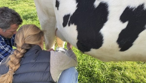 Cultural: Visit to the Farm